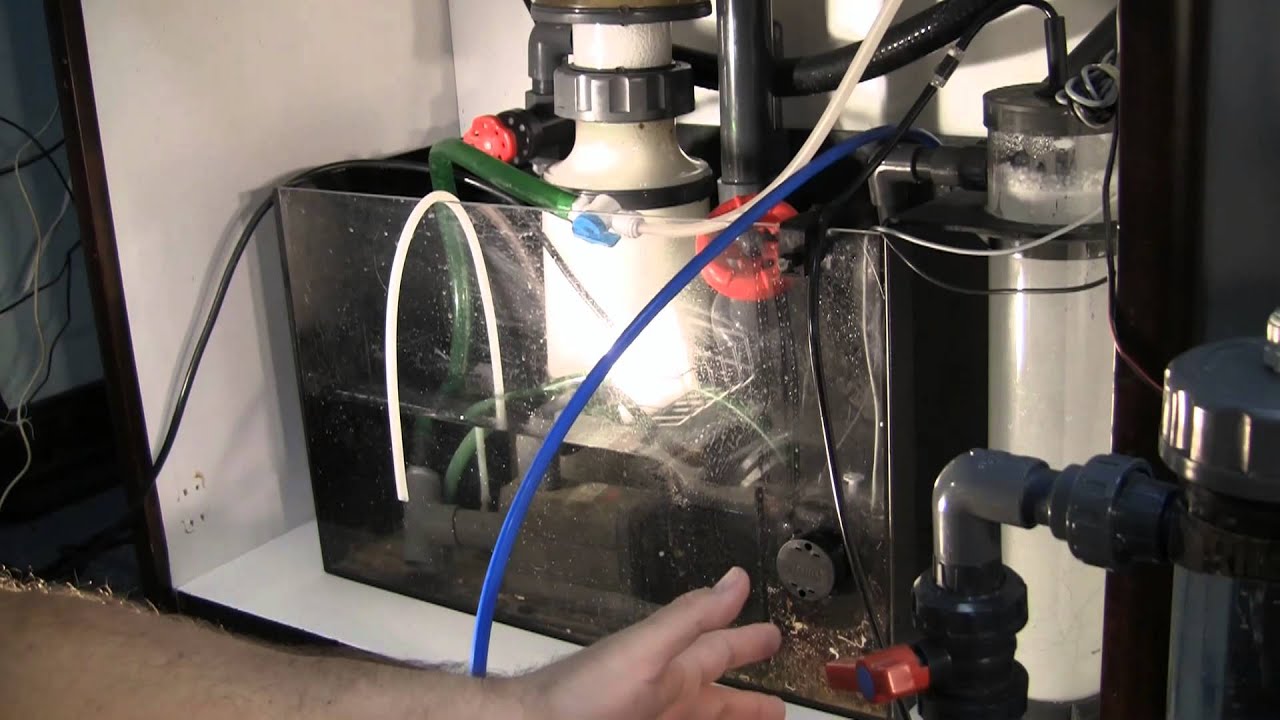 Bio Pellets, LA Fishguys Episode 107 pt 1
