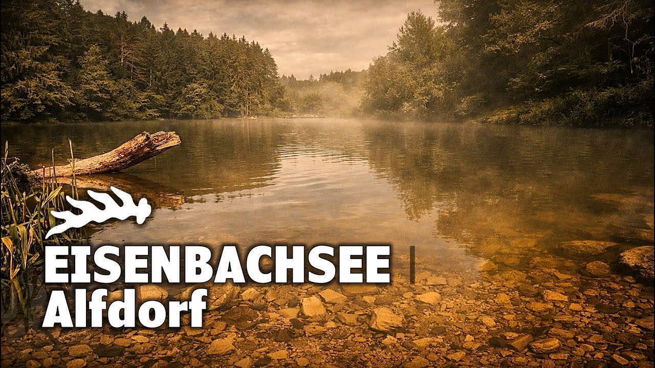 Der Eisenbachsee - Idyllischer Badesee im Schwäbischen Wald
