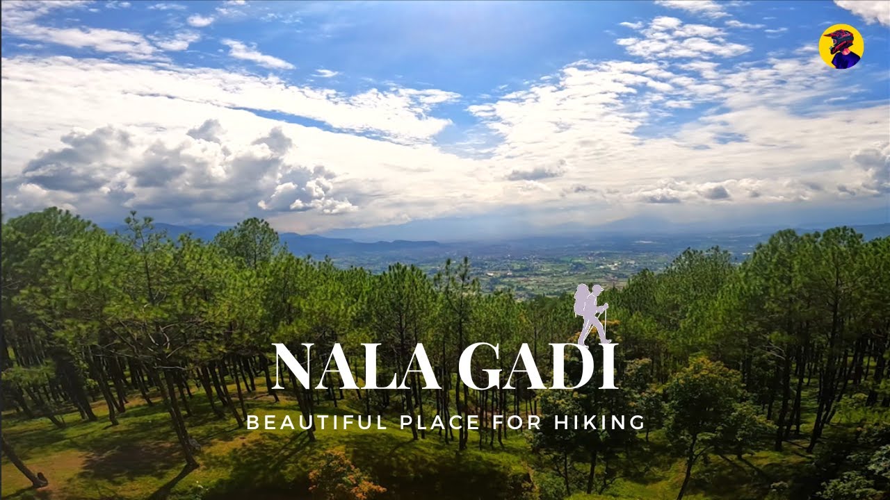 EXPLORING NALA GADHI #nepalivlog #jungle #walkthrough