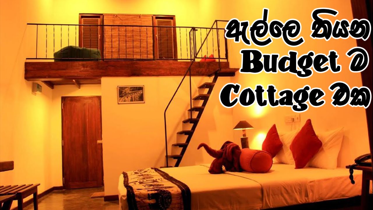 Rowinrich Cottages full review|A trip to Ella, Sri Lanka in 2022|Things to do in Ella|Budget hotels