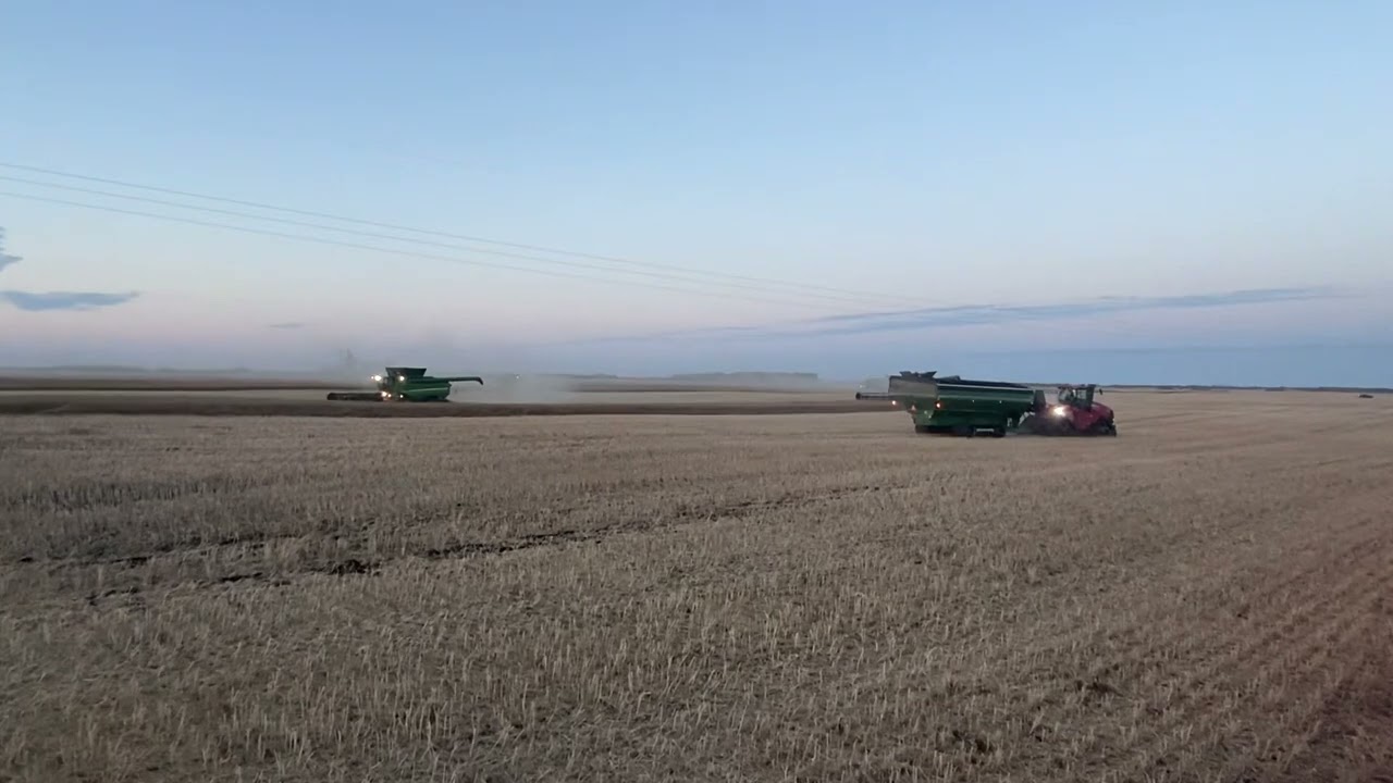 Harvesting 340P Invigor Canola with 5 John Deere S790 Combines with 40&rsquo; Headers