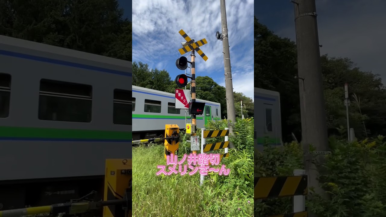 山ノ井踏切（青葉〜苫小牧駅間　室蘭本線）北海道最終回