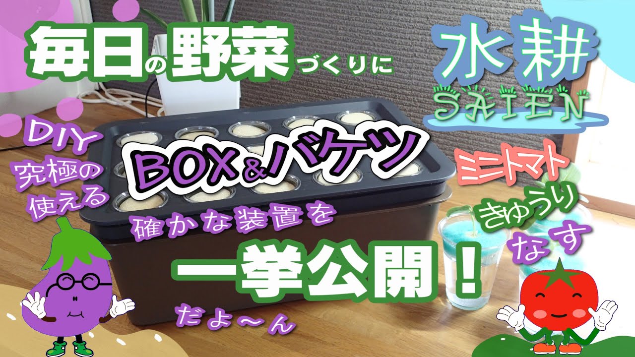 【野菜の自給】野菜の自給に！水耕栽培で使用する究極のDIY装置を一挙公開！