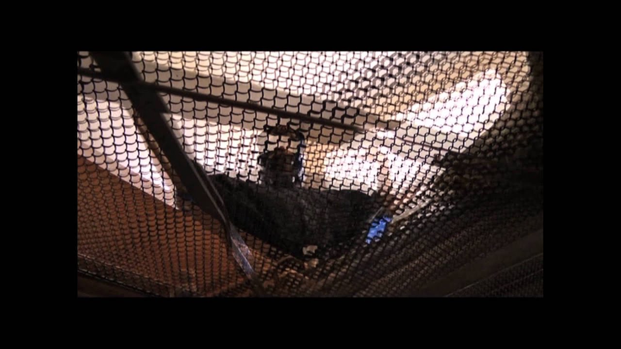 C.U.B.A. Cabbal - RITUS - (Official Video)