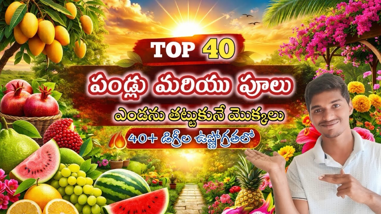 వేసవిలో వేసుకోవాల్సిన పండ్లు పూల మొక్కలు|40 డిగ్రీల ఎండలో కూడా వస్తాయి|#summerplants #terracegarden 