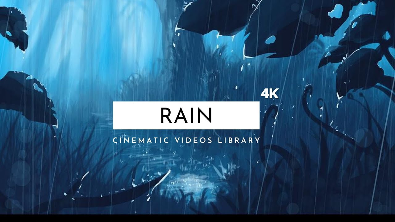 Rain - 10 Cinematic Videos 4K | Free Rain Footage Stock