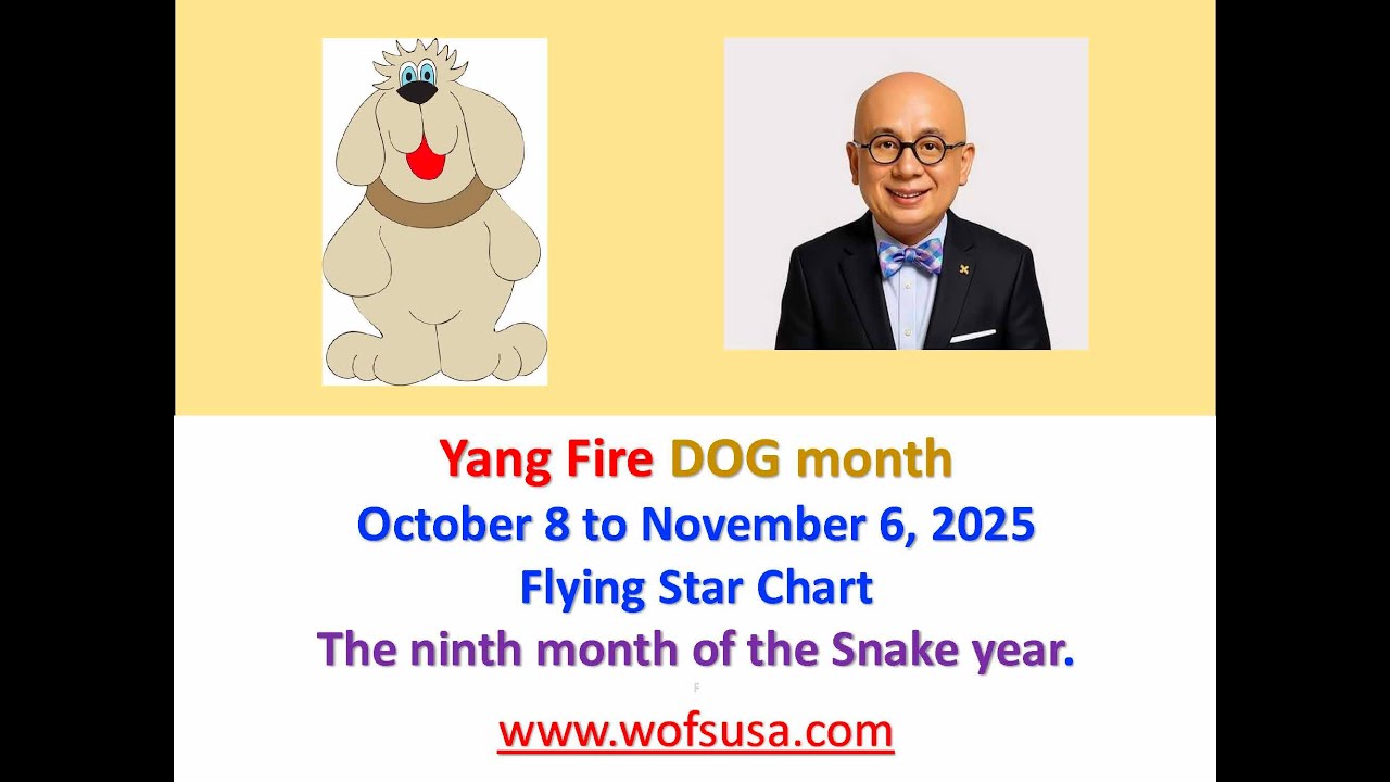 October 2025 Flying Star English