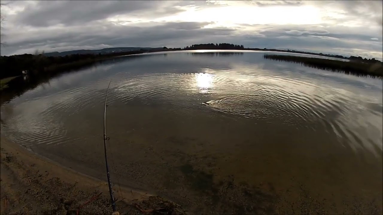 NEW ZEALAND TROUT FISHING THE ROUR PETERS