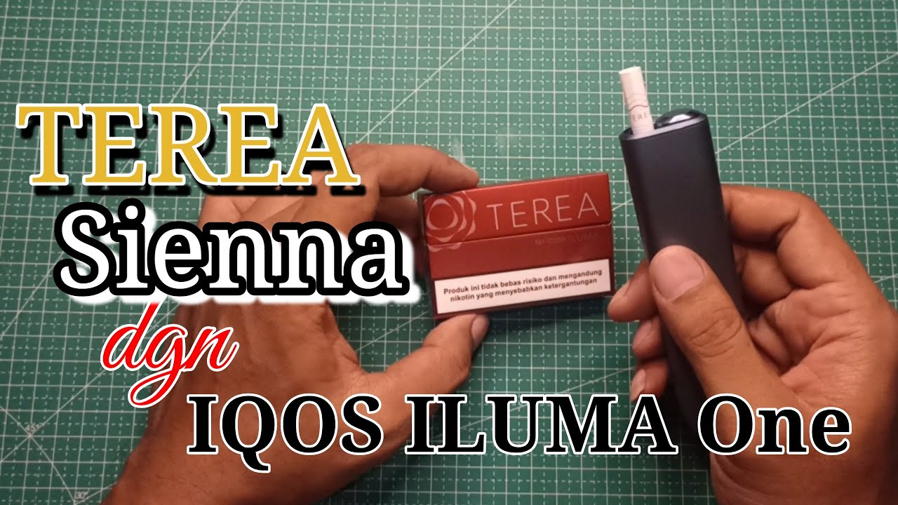 Review IQOS Iluma One dengan  TEREA Sienna ‼️