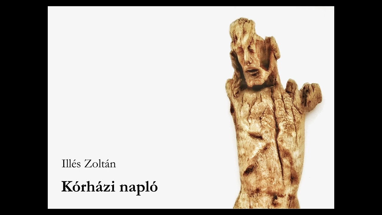 Ill&eacute;s Zolt&aacute;n: K&Oacute;RH&Aacute;ZI NAPL&Oacute;
