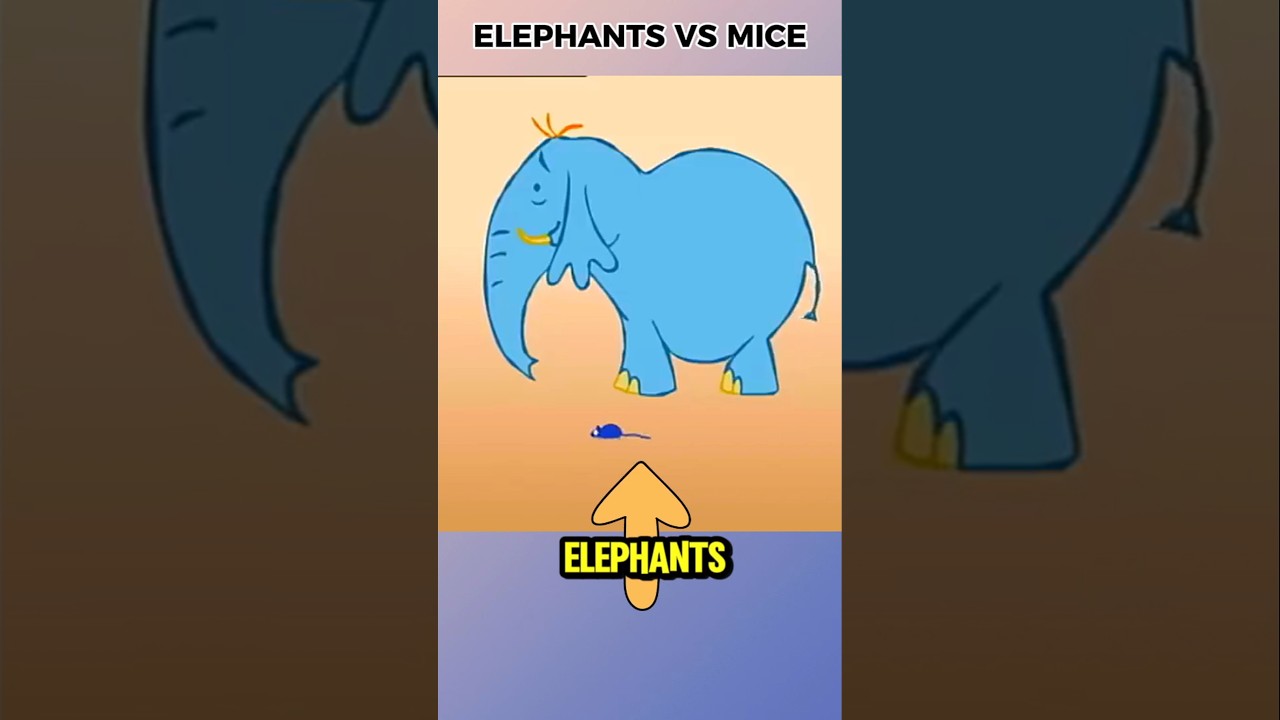 Are Elephants Really Afraid of Mice? 🐭