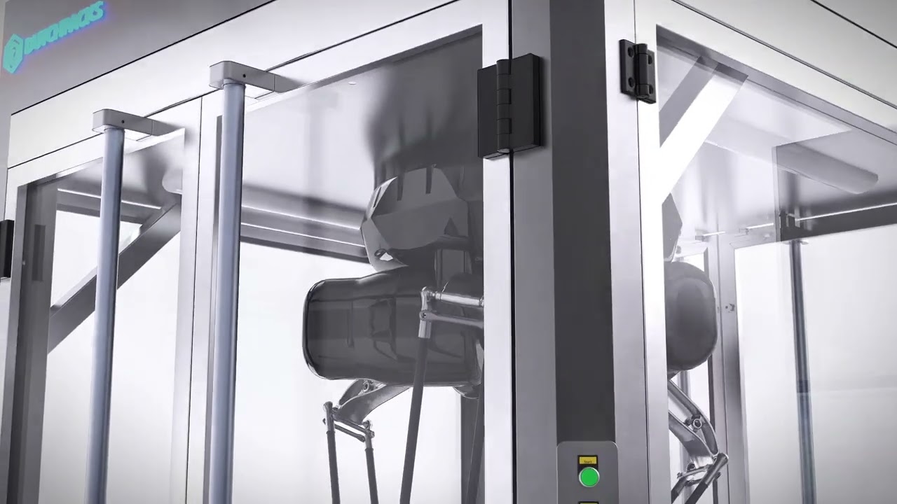 Automated Packaging Line