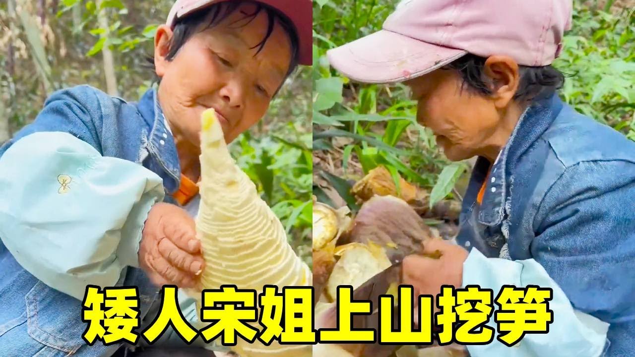 春天到了宋姐急忙上山要挖春笋！生怕晚一会就没有了！今天回家路上收获满满宋姐开心的直乐【农家宋姐】