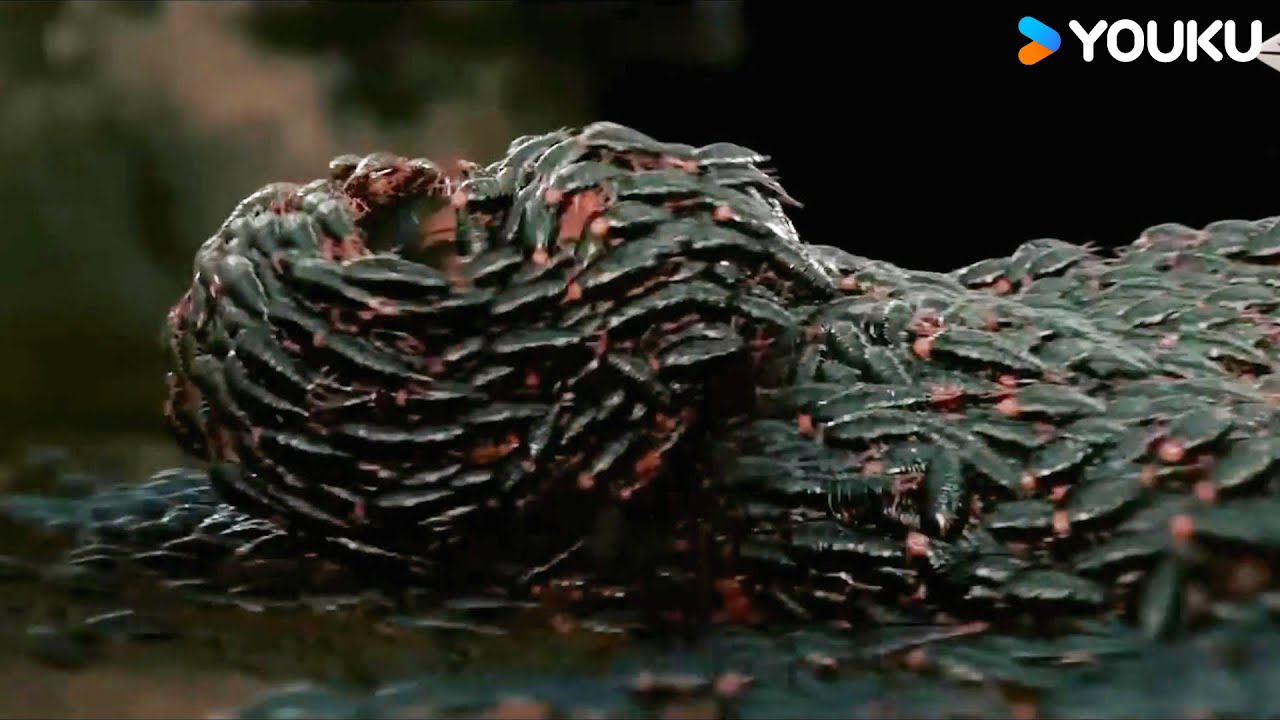 Hiding in caves, they're surrounded by man-eaters! | Varanus Priscus | YOUKU MONSTER MOVIE