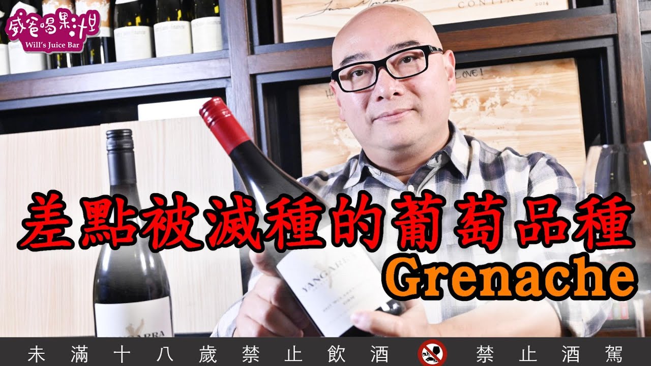 差點被滅種的葡萄品種&mdash;&mdash;Grenache【威爸喝果汁 Will's Juice Bar 72】