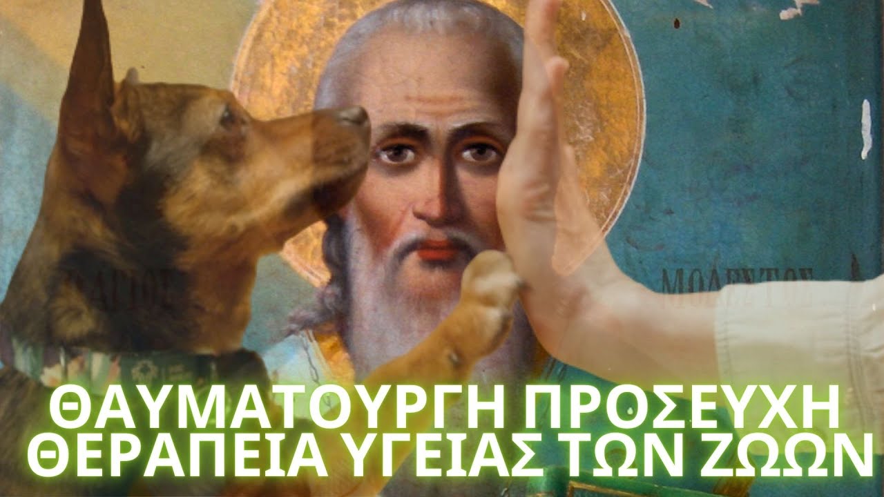 Η ΘΑΥΜΑΤΟΥΡΓΗ ΠΡΟΣΕΥΧΗ του Αγίου Μόδεστου για την ΘΕΡΑΠΕΙΑ ΥΓΕΙΑΣ των ζώων.