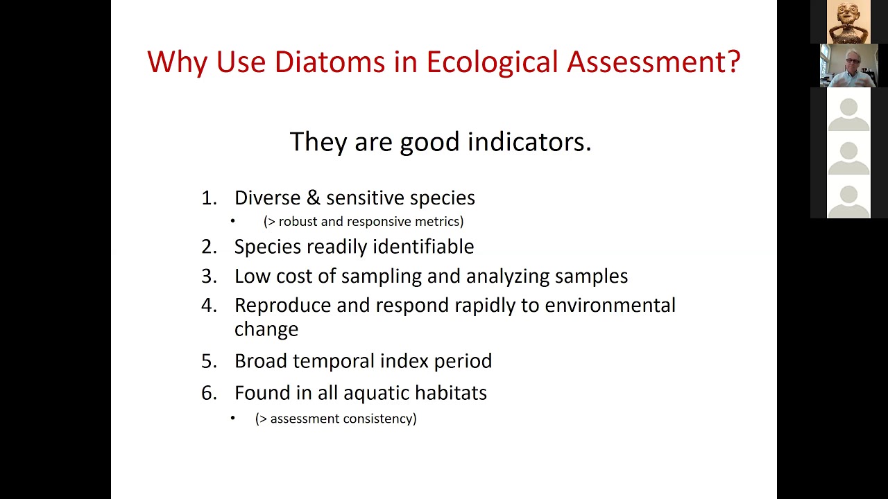 2020 03 17   Diatom Web Academy 2   Diatom data in ecological assessment