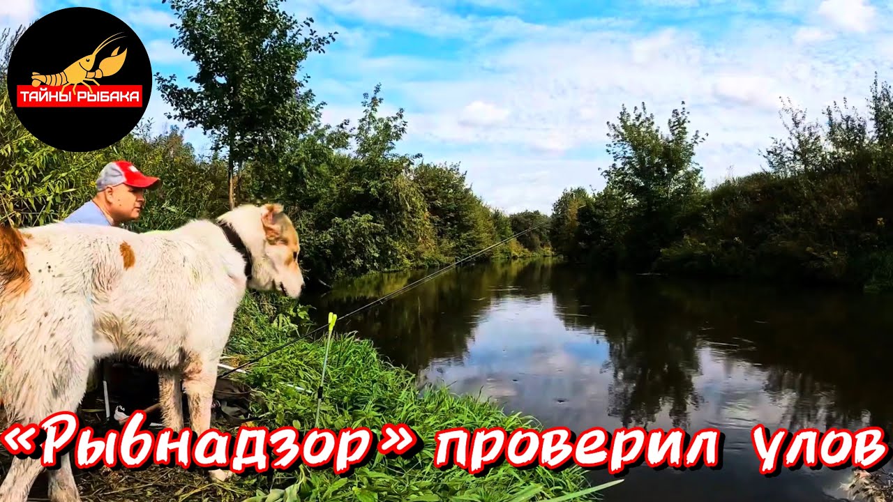 ФИДЕР НА МАЛОЙ РЕКЕ. Пехорка 03.09.23.
