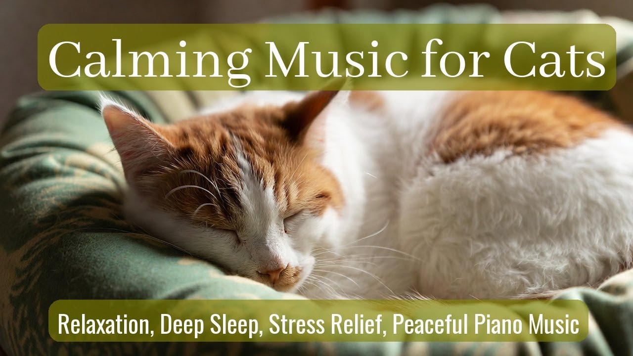 Calming Music for Cats - Relaxation, Deep Sleep, Stress Relief, Peaceful Piano Music | Season 77
