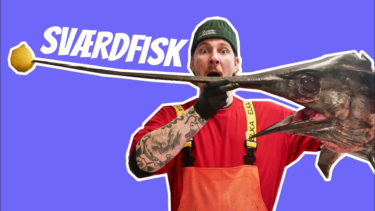 Sv&aelig;rdfisk p&aring; over 60 kg! // Opskrifter | P. Clausens Fiskehandel