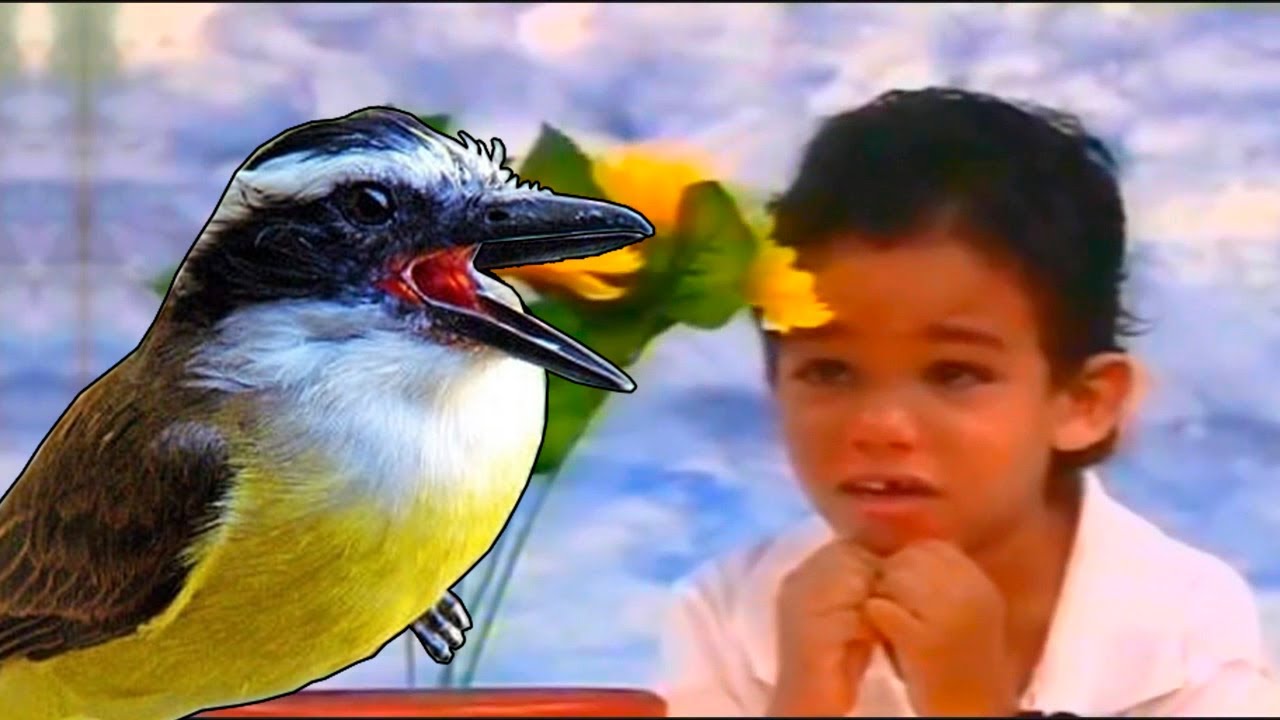 BEM-TE-VI cantando Ra&ccedil;a Negra - Cheia de Manias