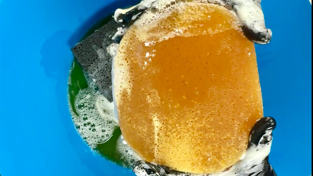 CREST O PINE 🌲 ASMR PINE OIL SPONGE SQUEEZES 🫧 🧽 
