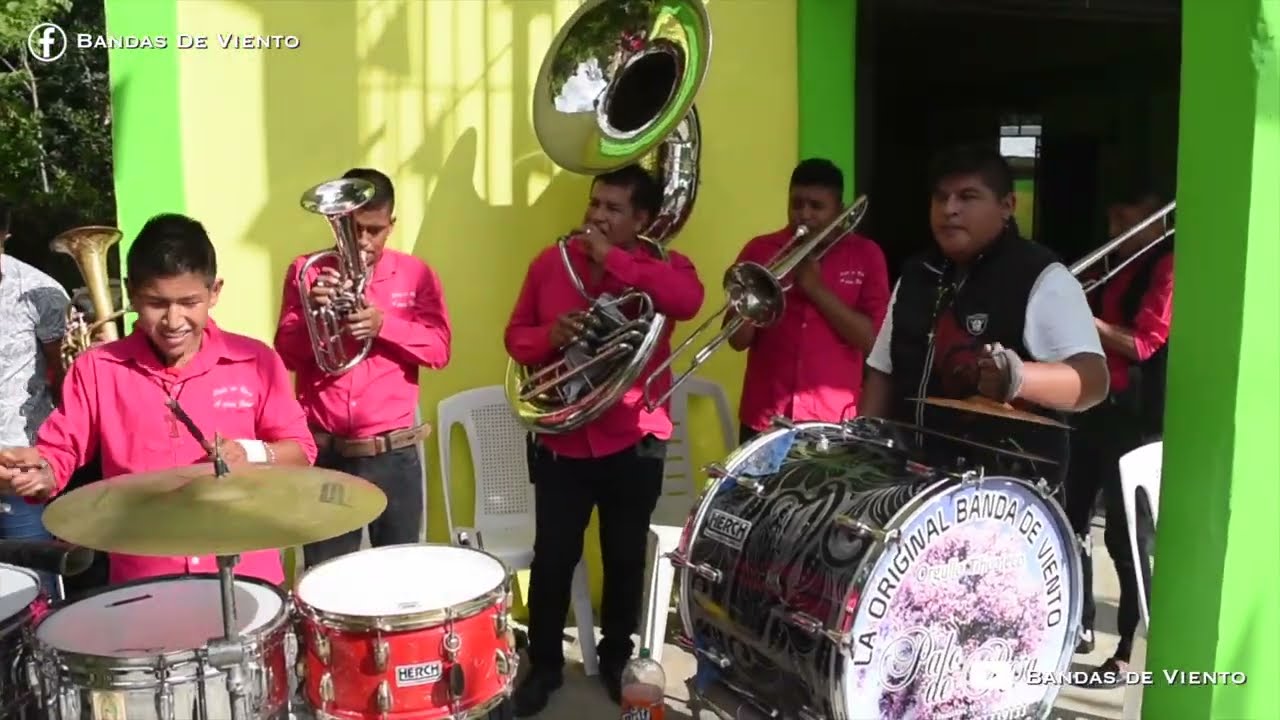Banda de Viento Palo de Rosa - Cumbias, Huapangos y Rancheras