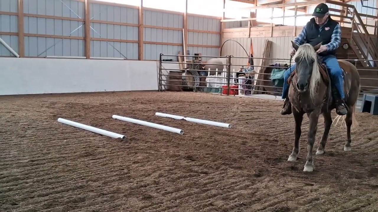 Bridleless Trail - Collegiate Level  Pattern 3