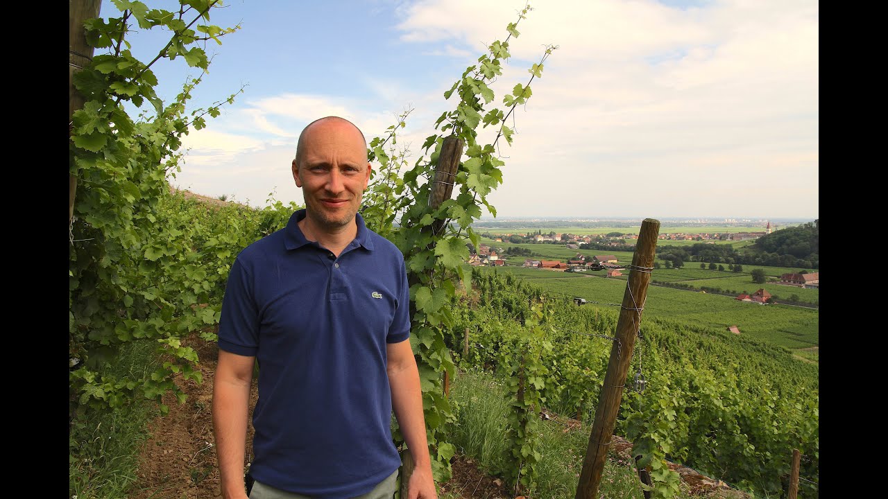 Domaine Weinbach. THE WINEMAKERS