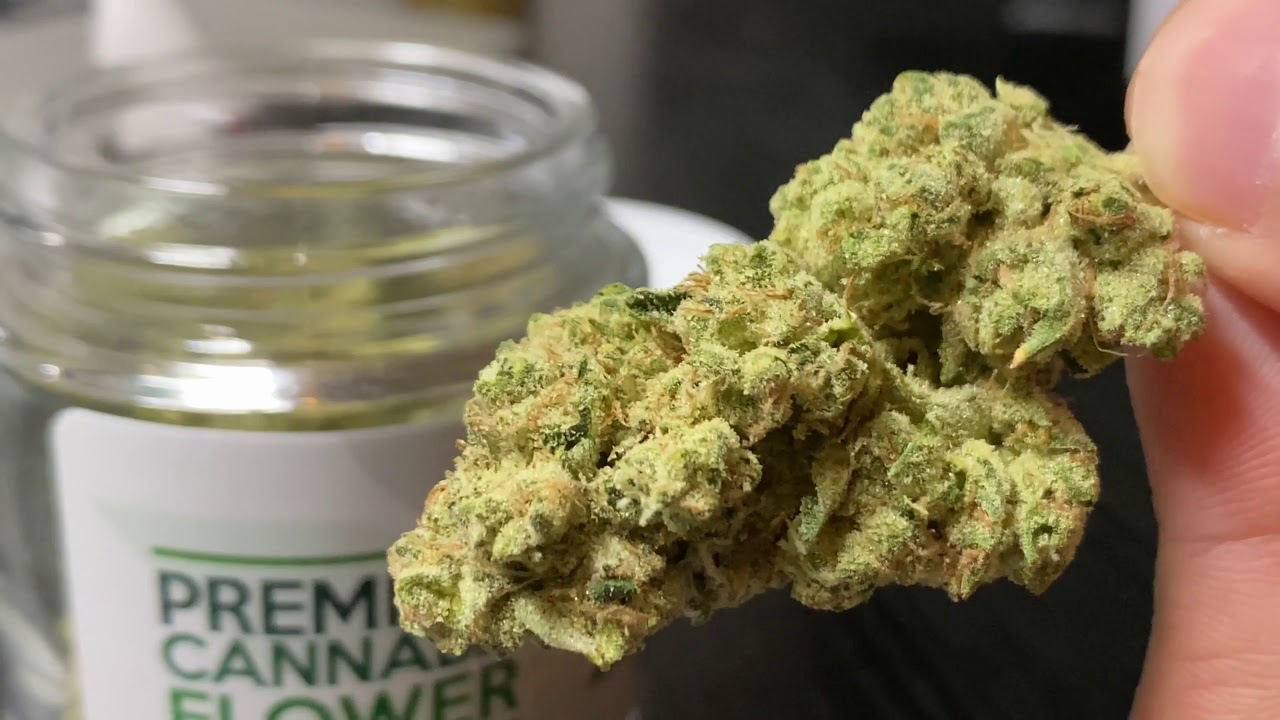 🔥 WEED REVIEW: FATSO ( GMO x Legend OG ) !! 🔥
