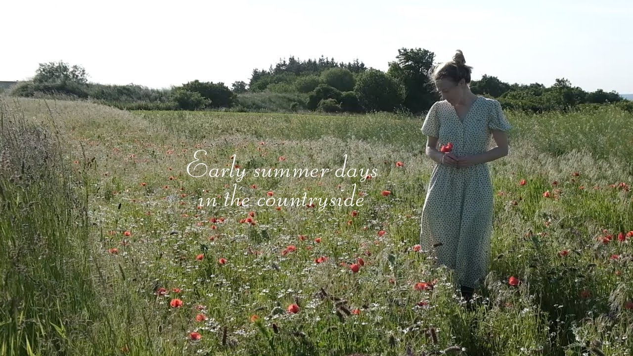 Early summer days in the countryside