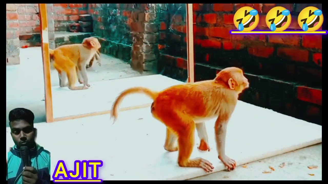 Hanuman prank video 🤣