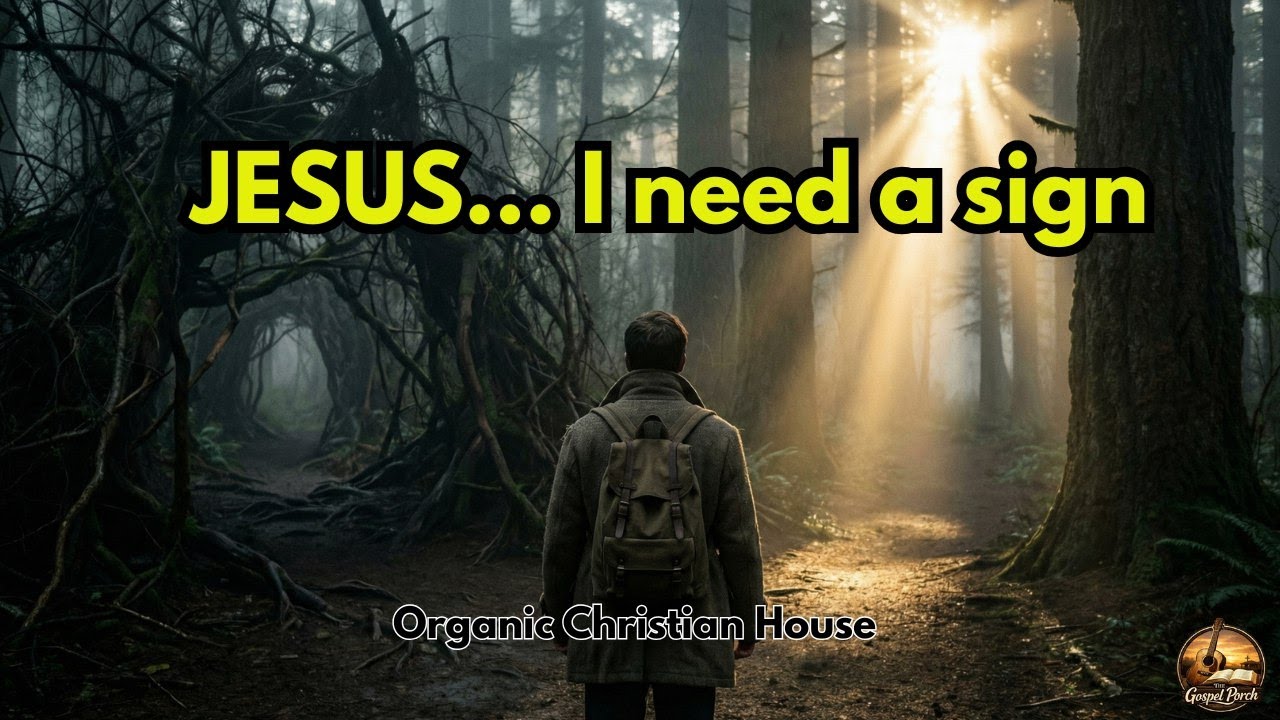JESUS    Show me the way  7 Min Organic House