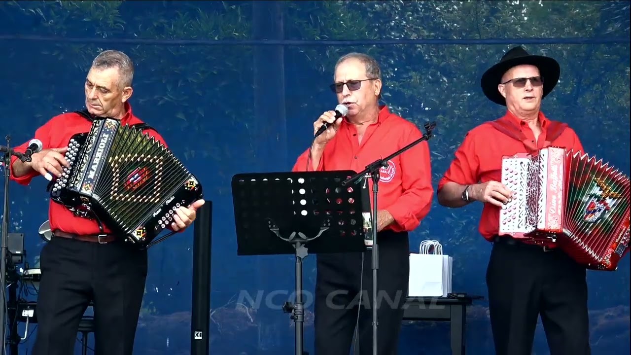Alegres e Divertidos da Feira em Alquerubim Albergaria-a-Velha, 2025 (06)