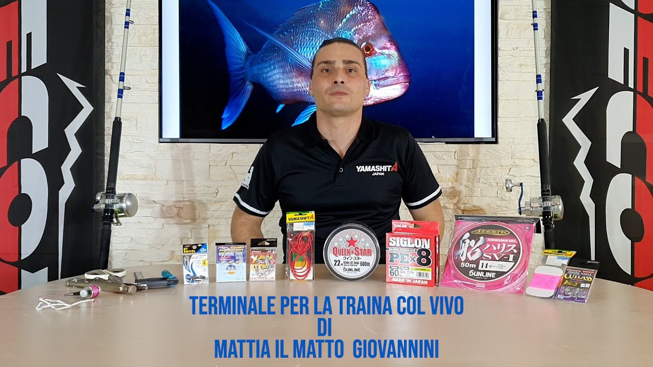 Come costruire un terminale per la traina con il vivo