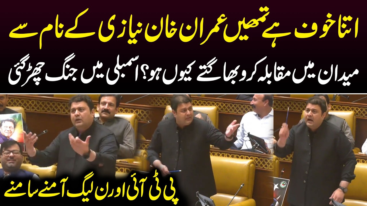PTI Vs PMLN | Farrukh Javed Moon Fiery Speech in Punjab Assembly | Public News