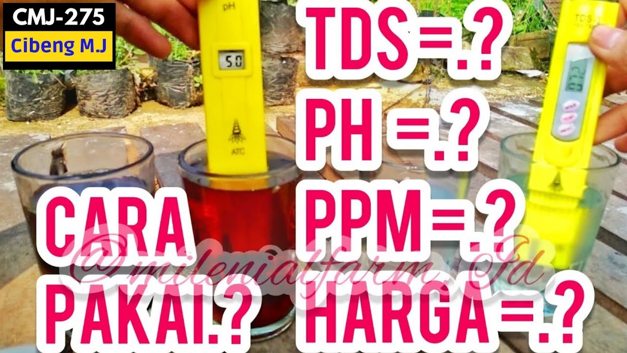 PH DAN TDS METER, Review, Penjelasan, Harga dan Cara Pakai