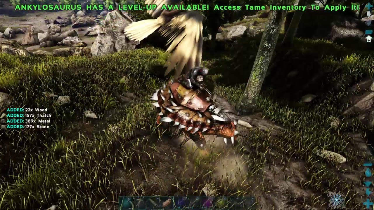 Play through on Ark (building the safe zone for my base AO)