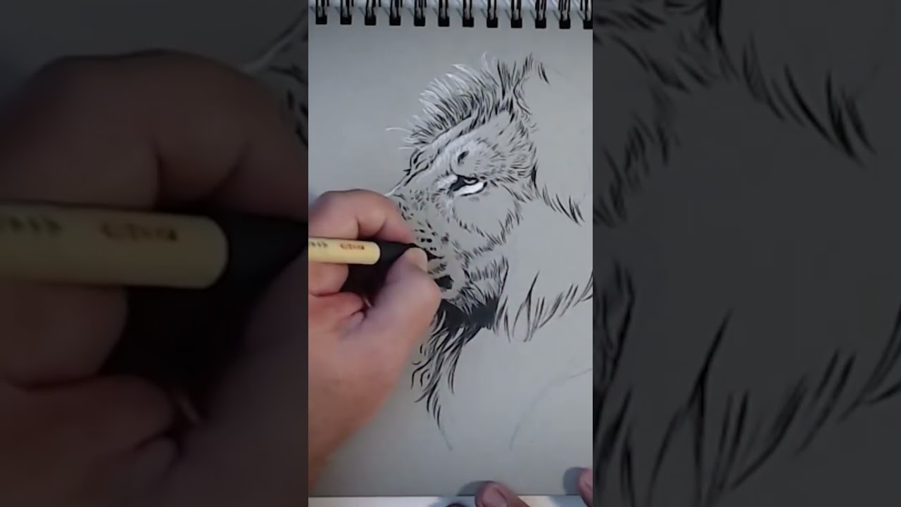🦁 A Lion Comes to Life! #Disney Artist Aaron Blaise Draws #shorts #drawing #sketch #ink