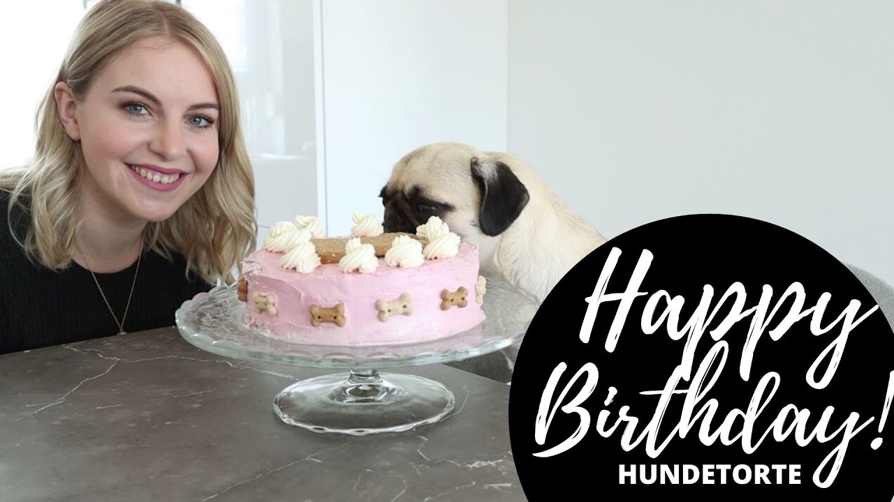 Hundekuchen | Geburtstagstorte für den Hund selber backen | Rezept | Hundekanal deutsch