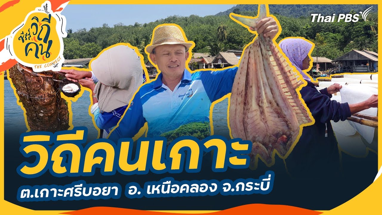 วิถีคนเกาะ ต.เกาะศรีบอยา อ.เหนือคลอง จ.กระบี่ | ซีรีส์วิถีคน
