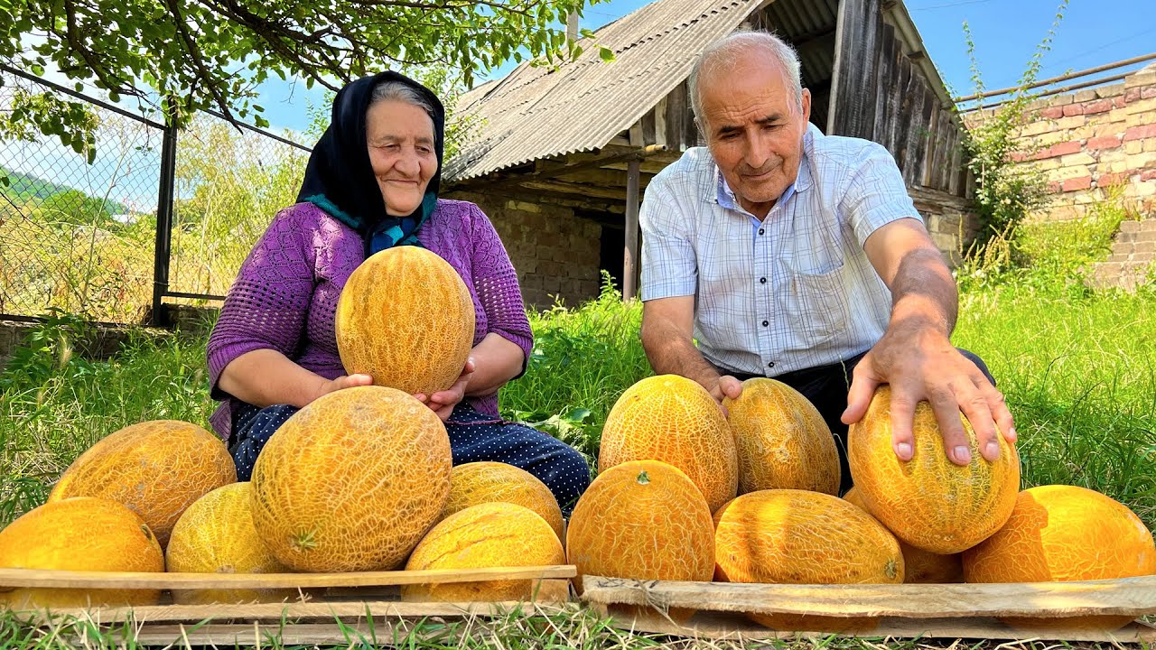 Собраны Органические и Свежие Желтые Дыни! Приготовление Варенье, Пирог и Джема в Деревне!