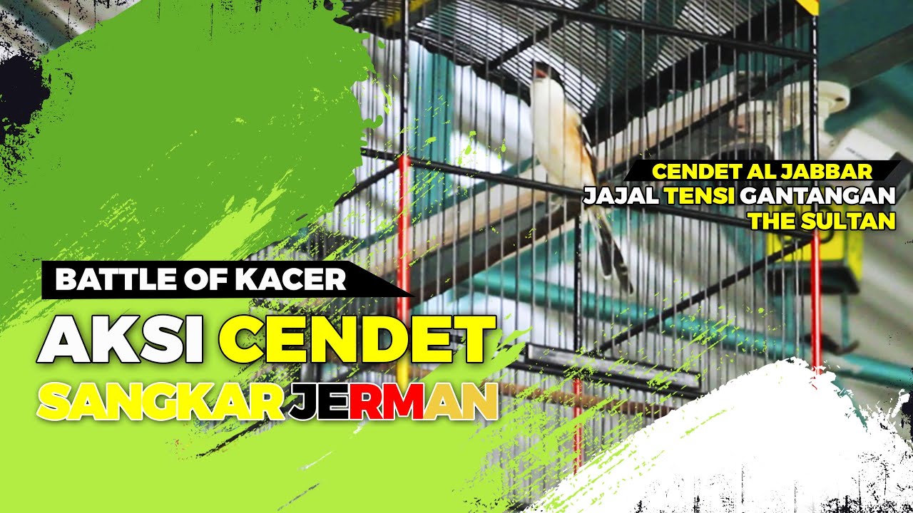 BATTLE OF KACER: Aksi Cendet AL JABBAR Semarang