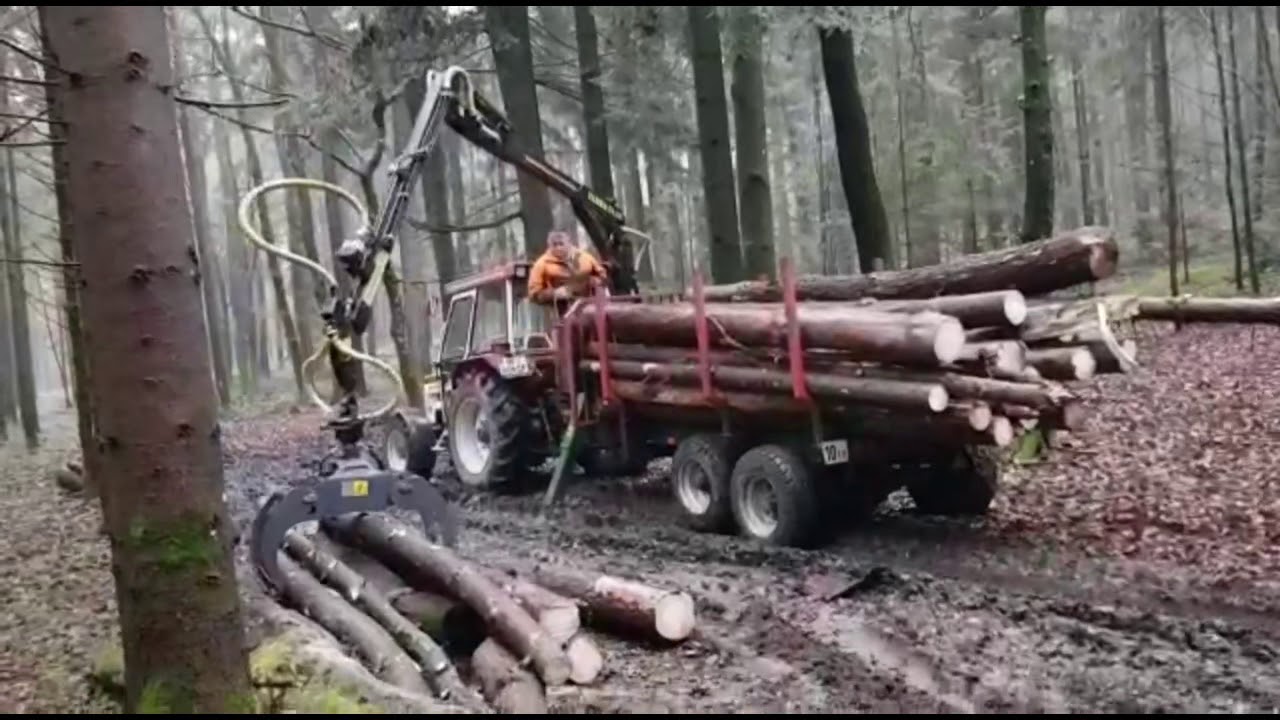 Schadholz Laden mit Eigenbau Rückewagen und Farma Kran