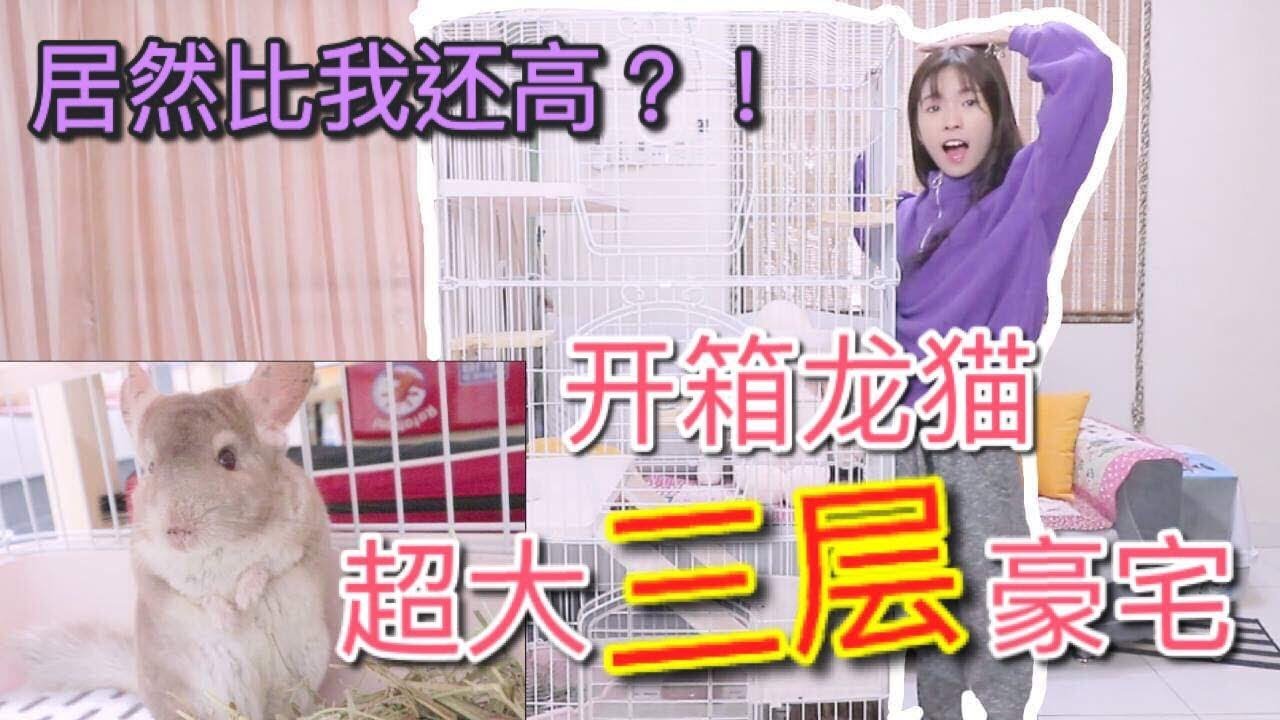 【開箱】龍貓三層大豪宅？！居然比我還要高...