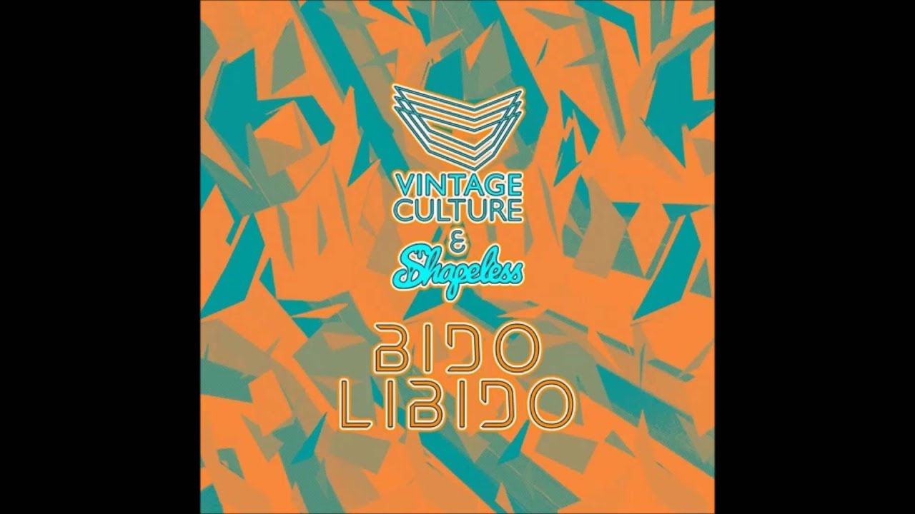 Vintage Culture, Shapeless - Bidolibido