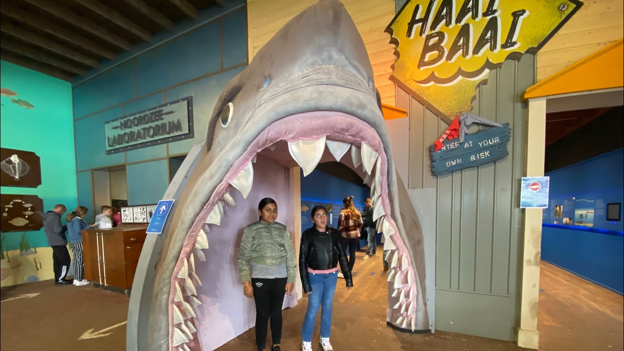 Team Gadgets In Het Dolfinarium