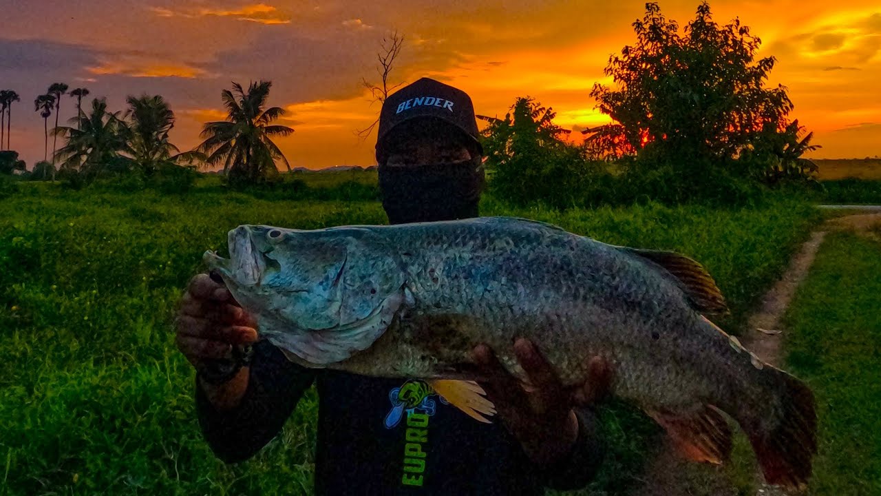 Rezeki Tak Pernah Salah Alamat..