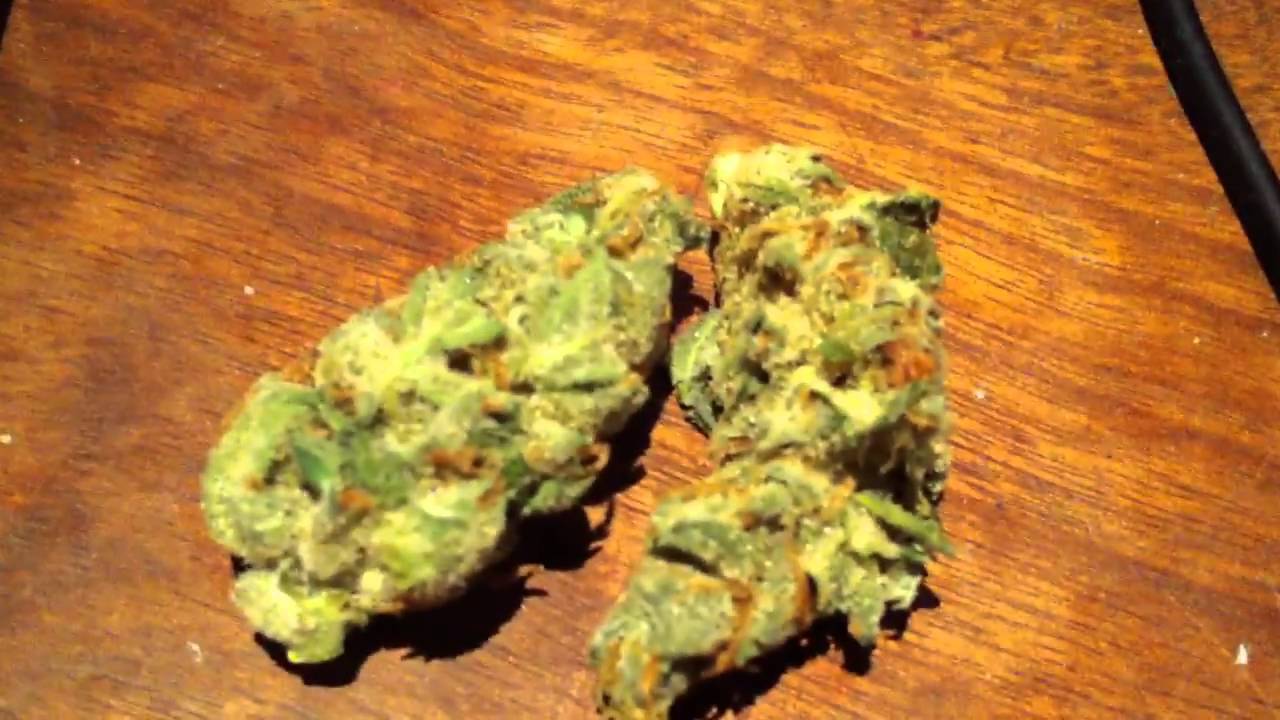 Hydro Cheese - Close Up HD (Weed I smoke)