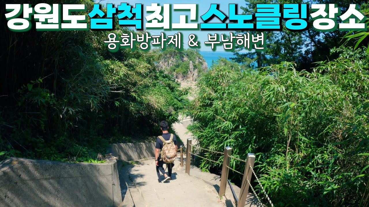 스노클링 맛집이라 소문난 강원도 삼척 용화방파제, 부남해변에 다녀왔습니다